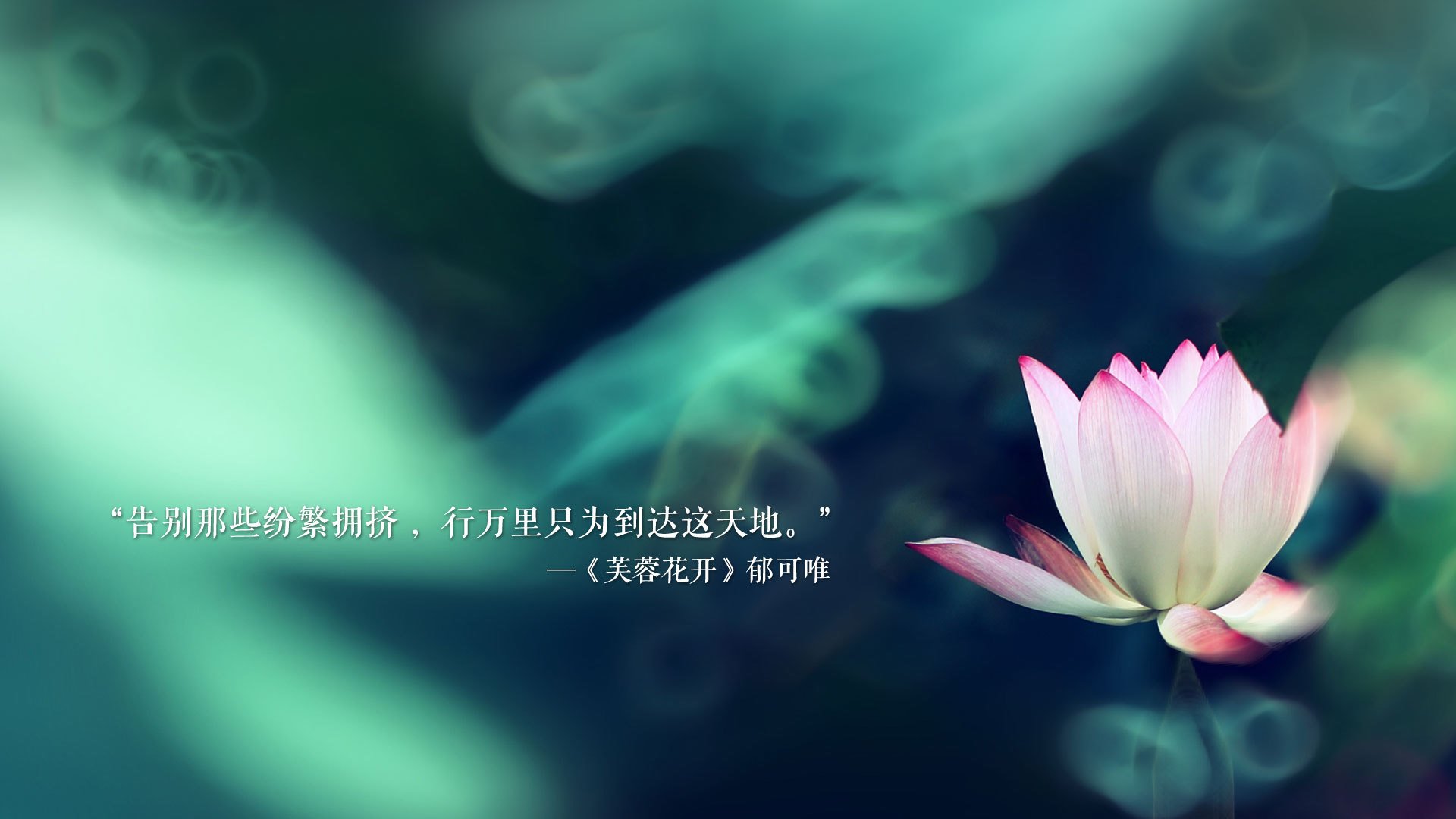荷兰马术协会推出马术运动员职业发展规划，促进人才培养。，荷兰马术大师赛将于4月23-25日举行 顶级骑手参赛