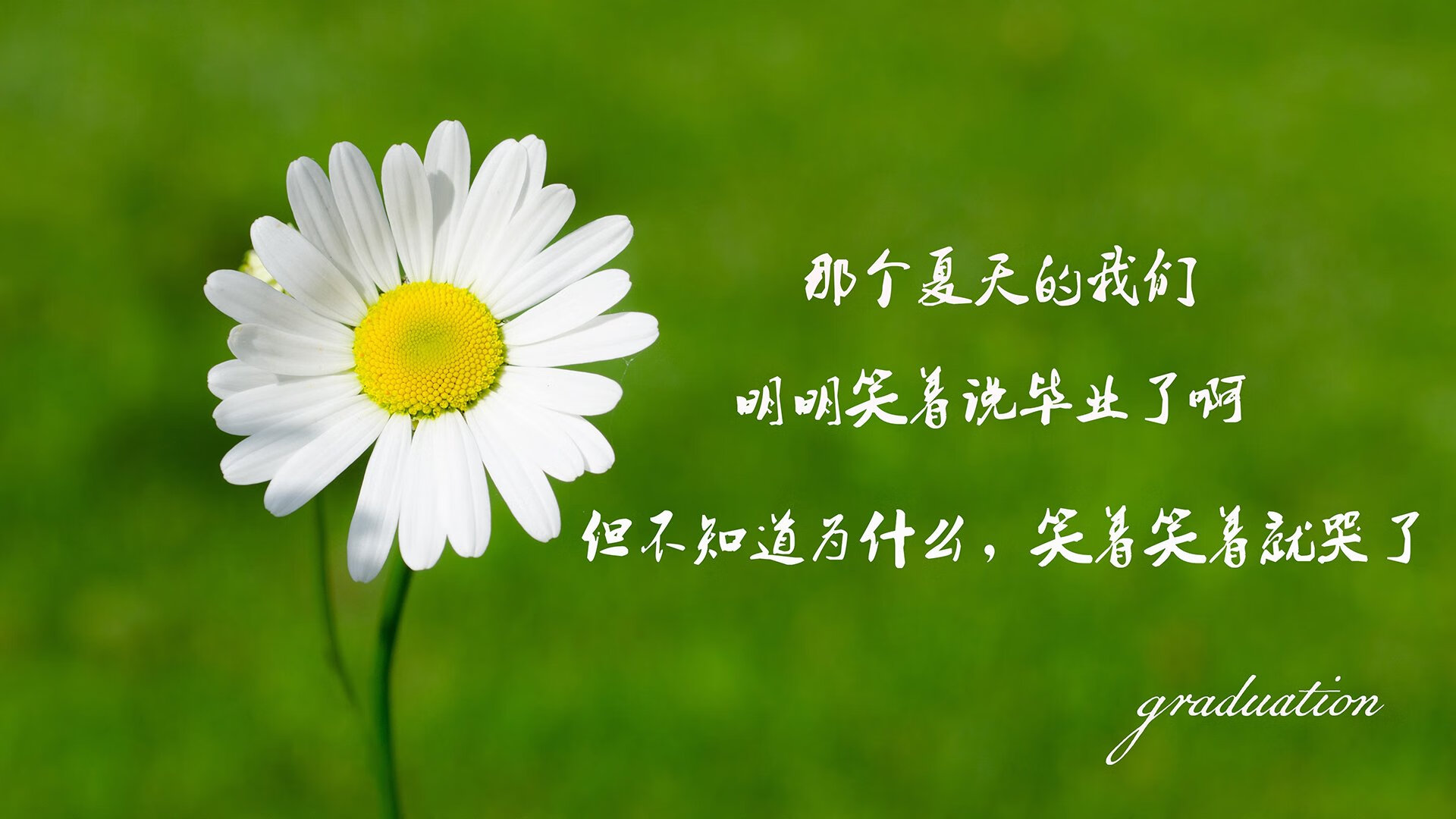 黑山队客场大胜！！芬兰队主场无功而返，黑山对挪威历史比分
