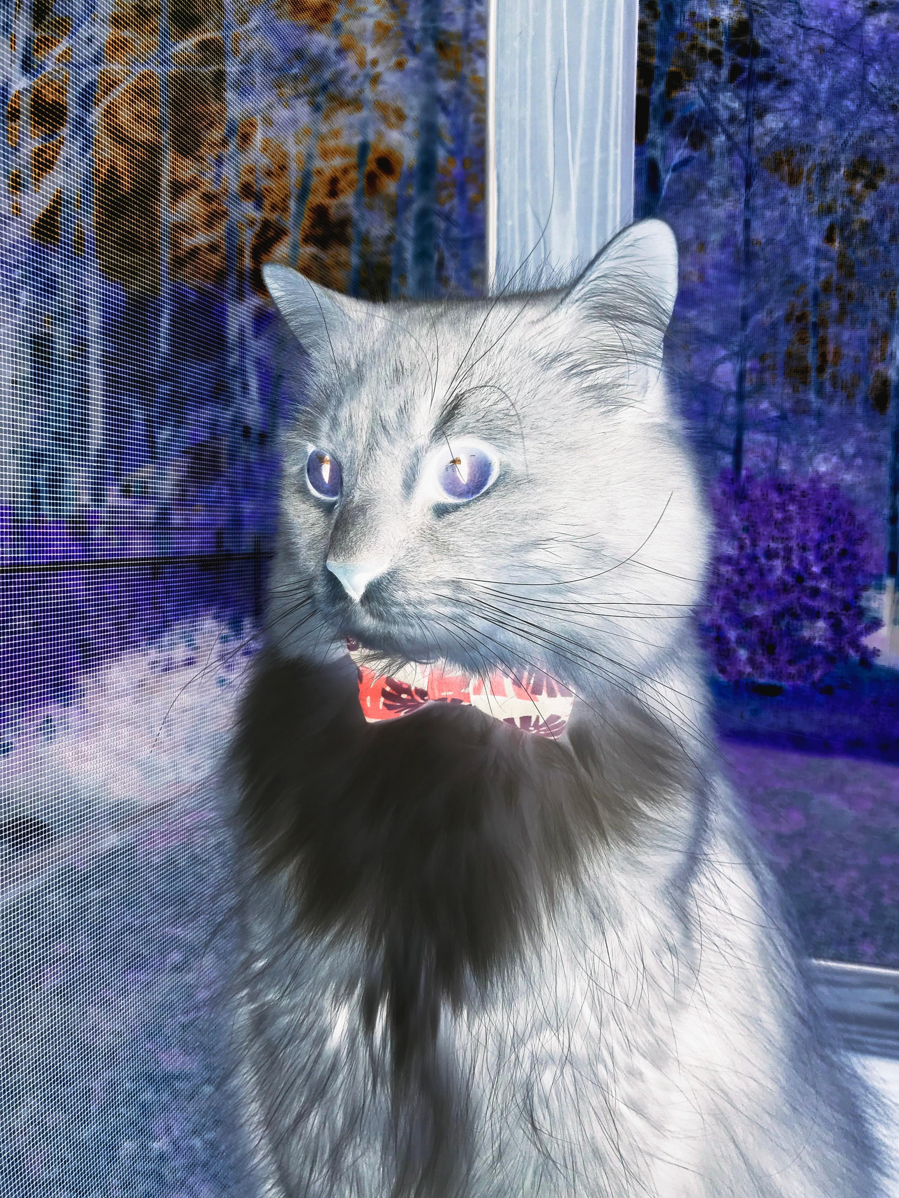 高校体育科技成果孵化路径与转化机制探索,高校体育发展