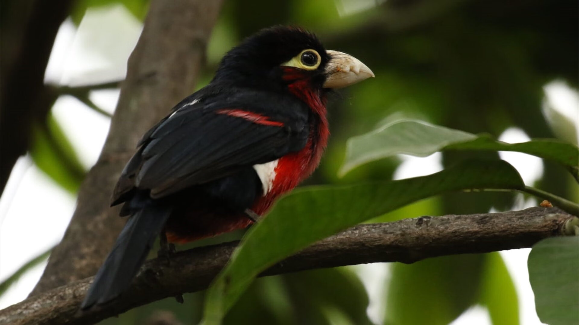 体育新闻中心构建多渠道体育赛事内容分发体系，体育赛事报道怎样写