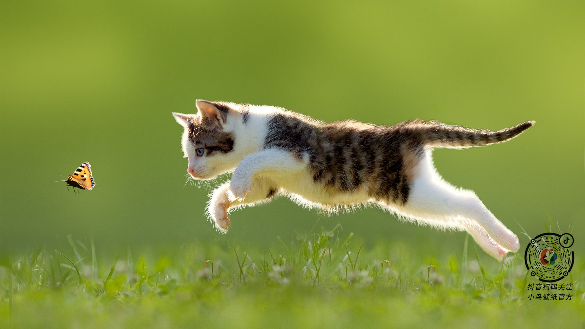 开云·Kaiyun网页版-浙江球队青少年篮球培训计划成果显著，浙江省青少年篮球队