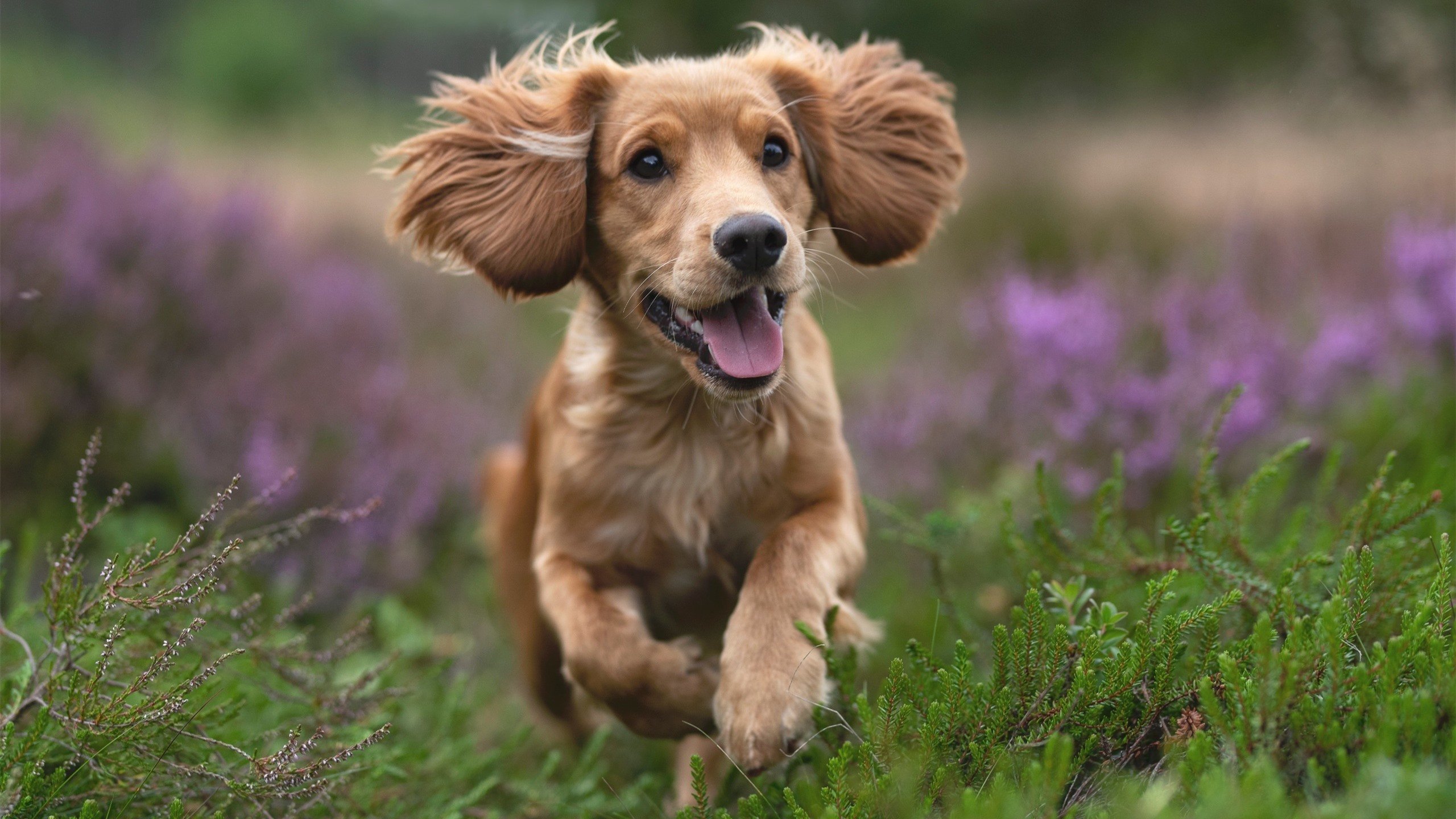 节奏感是否影响外线球员跑位空切的效率，节奏型球员