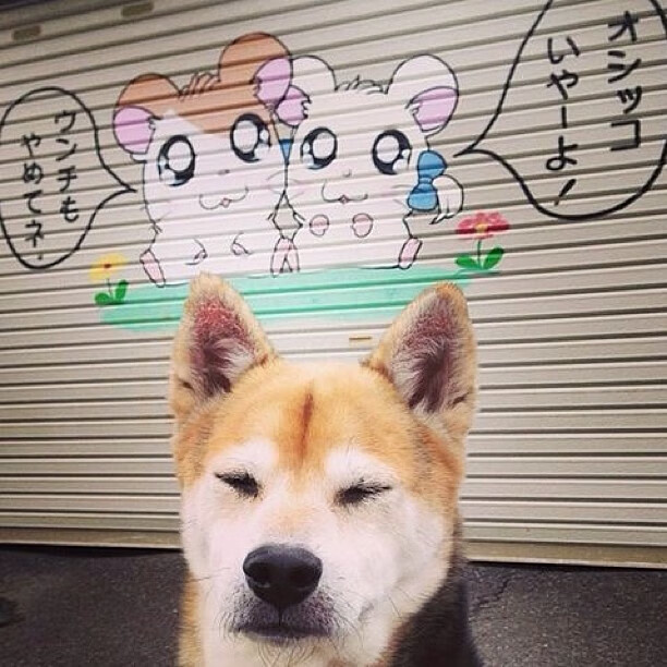 德甲节奏不断:攻守精彩瞬间轮番上演!,德甲收官战