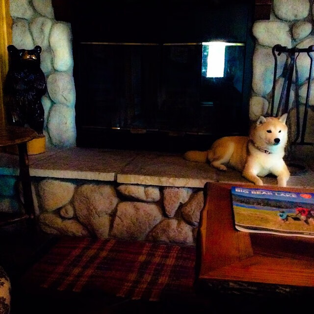 意甲高水平比拼:攻防两端都值得期待,意甲防守最强的球队