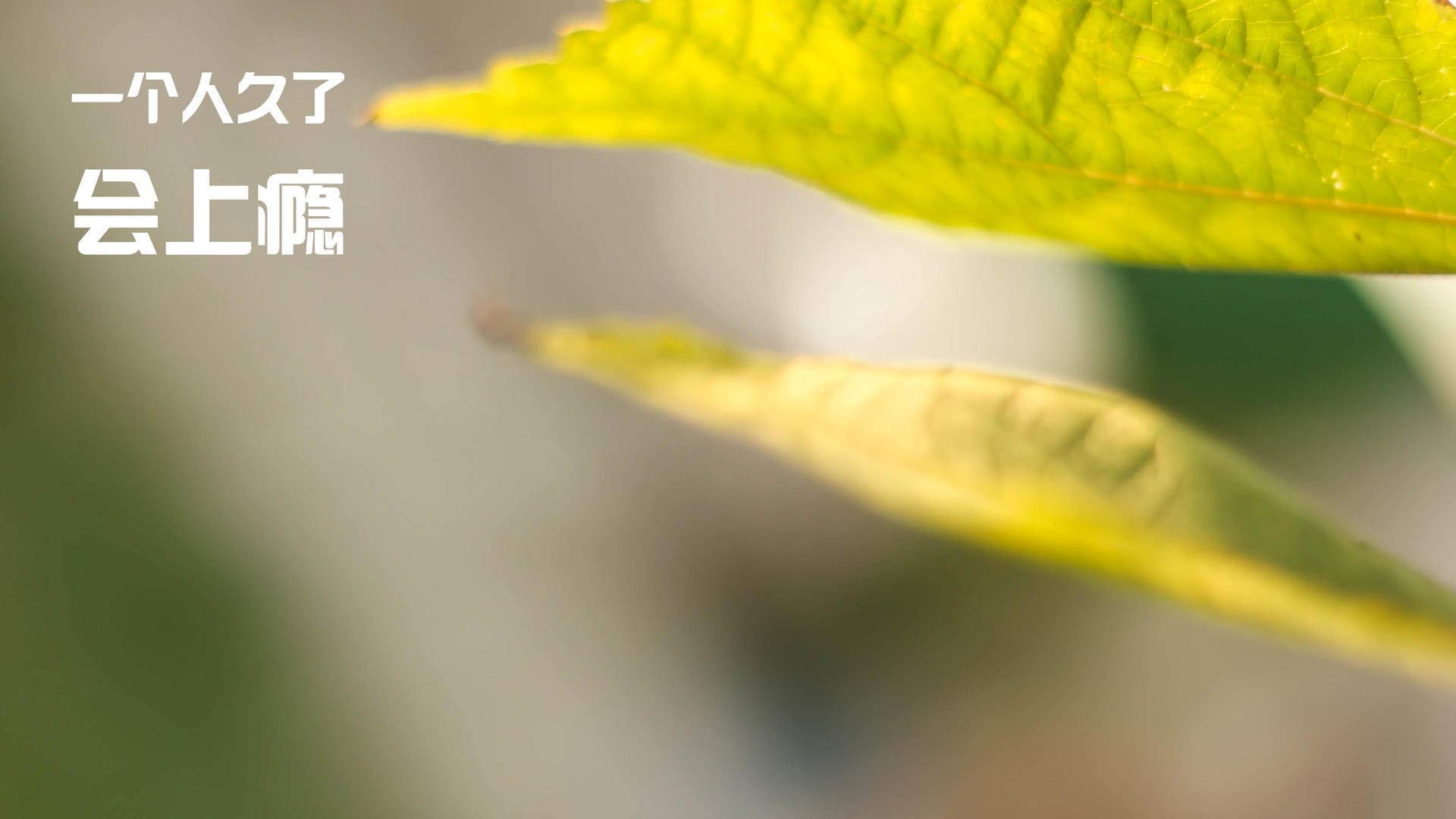 开云官方-英超神级反击：速度与力量的完美结合，英超防守反击的球队