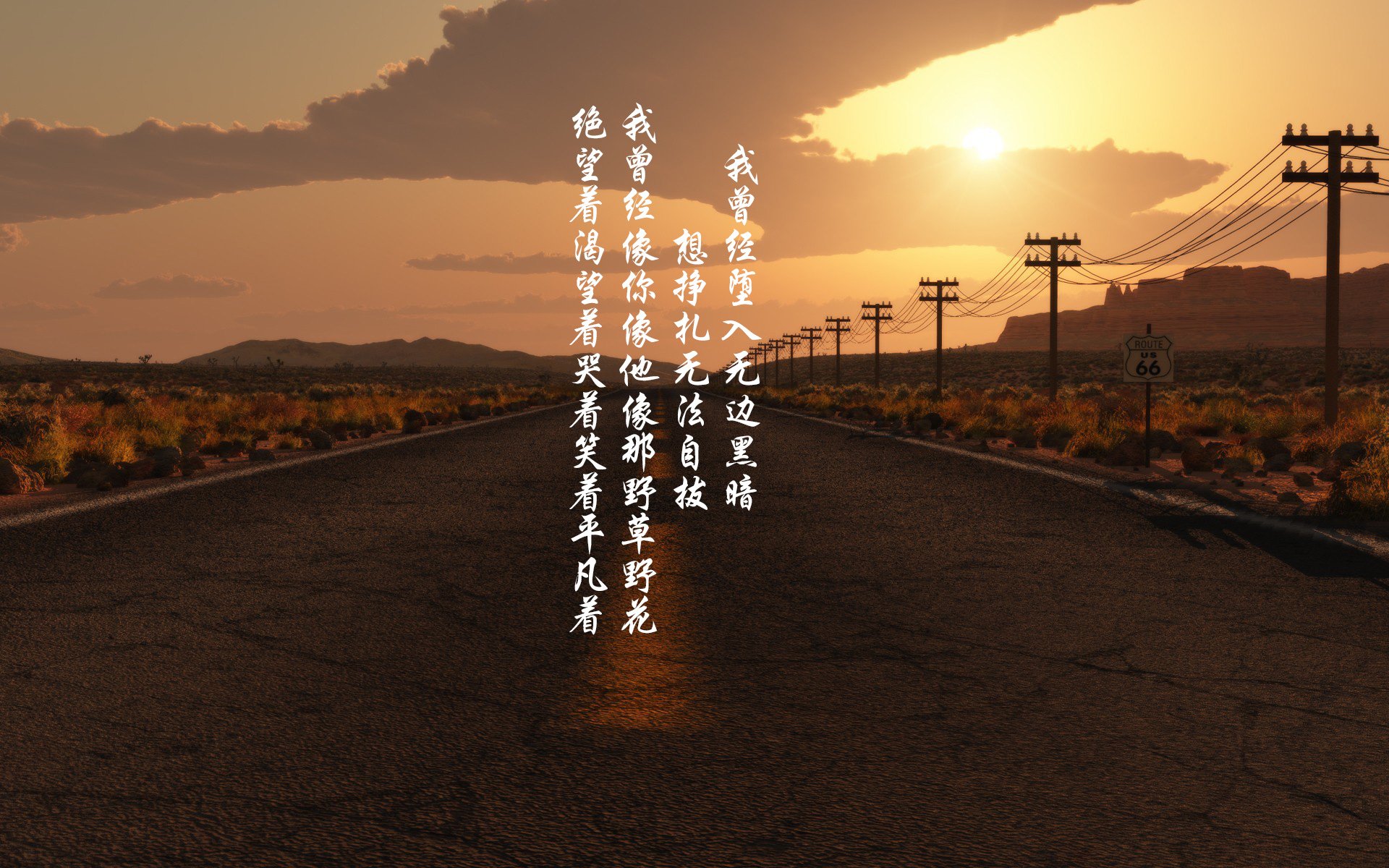 转体与入水精准度成为关键突破口,转体标准