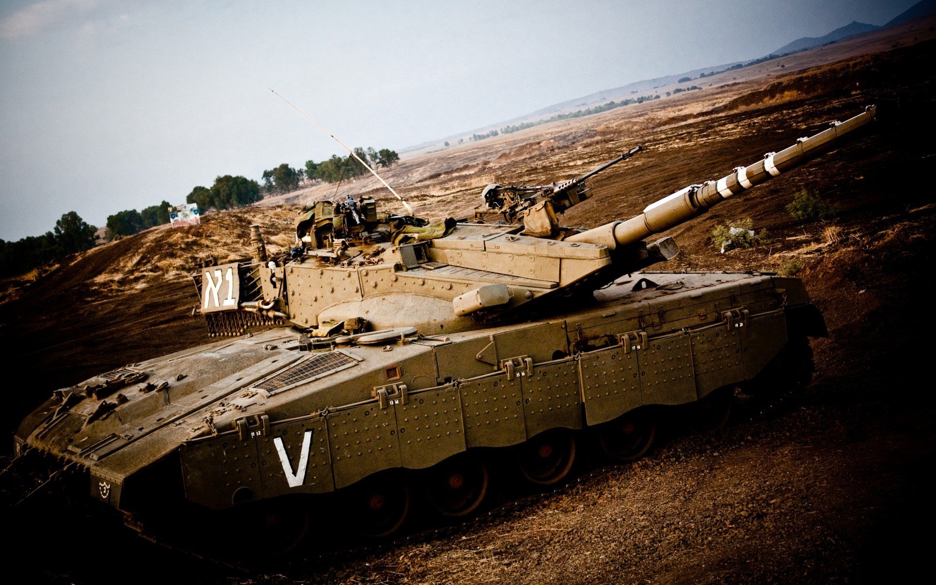 开云中国大陆-阿根廷未来之星崭露锋芒，国家队未来充满希望